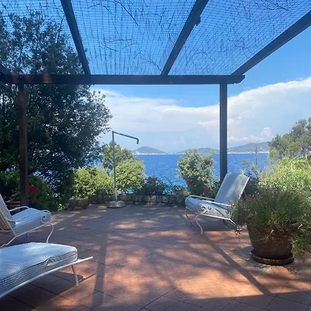 Aurora Villa